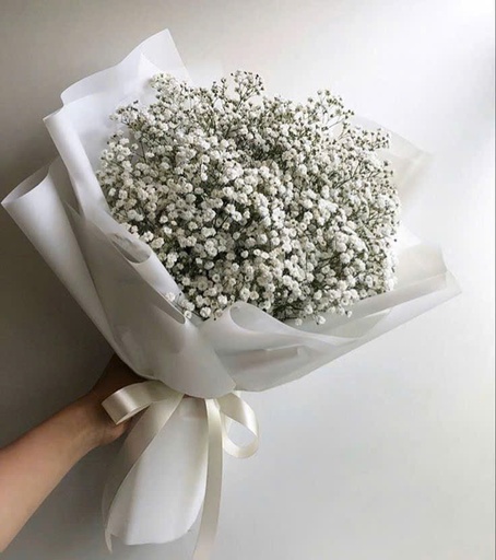 Bó hoa giai điệu 