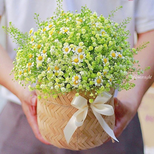 Giỏ hoa đáng yêu